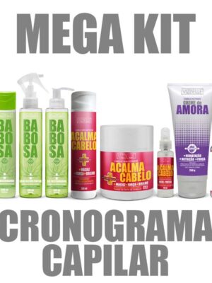 KIT CRONOGRAMA CAPILAR VIZBELLE